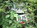 馬別れ１