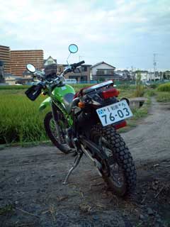 back