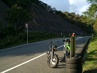 03