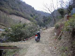 06