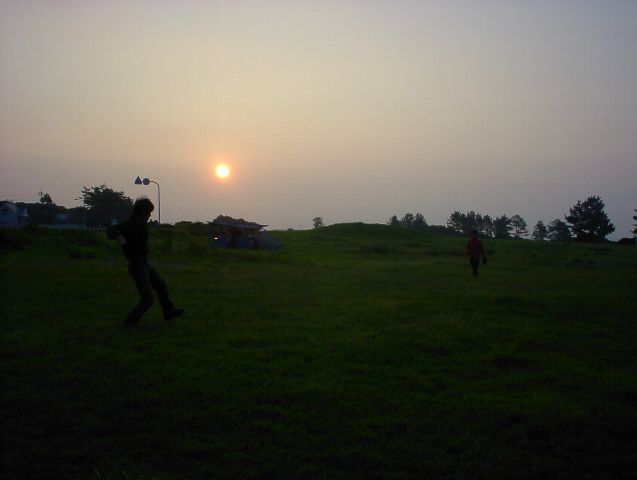 010