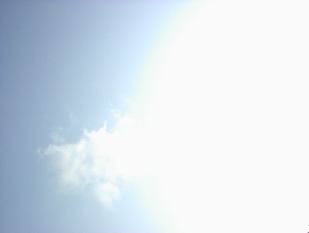 031