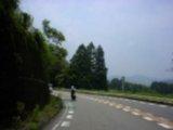 html/081.html